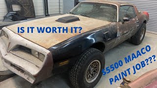 IS MAACOS PREMIERE PAINT JOB WORTH IT  78 PONTIAC TRANS AM PAINT AND BODY WORK [upl. by Laural699]