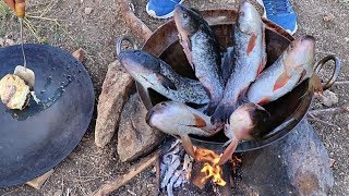 6 FISH DEEP DRY FRY  DELICIOUS FRYING FISH IN WILD [upl. by Meade]