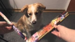 Bestes Leuchtfeuerwerk 2013  Orakel feat Hund 1080p Full HD [upl. by Evot]