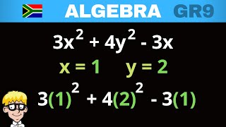 Algebra Grade 9 Substitution [upl. by Ecirad662]