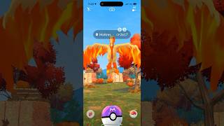 Shiny Moltres Pokemon Go [upl. by Heyde]