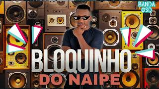 BLOQUINHO DO NAIPE 10 [upl. by Vida]