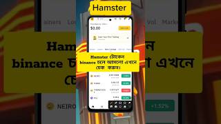 hamster token kivabe dekhbo binance  hamsters foryou binance tecknology Techbanglam3i [upl. by Anitserp850]