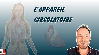 Anatomie de lappareil circulatoire [upl. by Krahling]