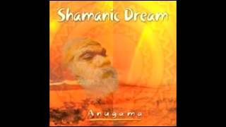 Shamanic Dream by Anugama [upl. by Theis]