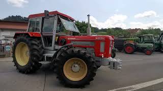 SCHLÜTER TVL 2000 SPEZIAL Schleppertreffen LindenfelsSchlierbach Odenwald 2024 [upl. by Cazzie]