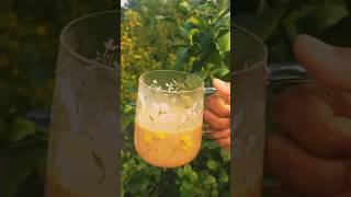 ভিন্ন স্বাদের চা।Horlicks Teatea refreshingdrinks shorts shortvideo cookingwithtanjina [upl. by Mcnelly]