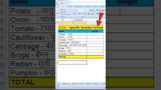 Custom Number Format in Excel  Add text to the Numeric cell in Excel  excel excelformula [upl. by Kerwon956]