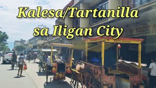 KalesaKartanilyaHorse Drawn Carriagesa Iligan CityLanao del NortePhilippines [upl. by Olympia]