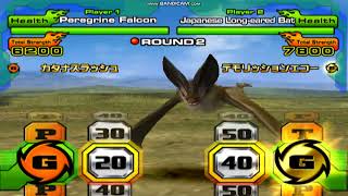 Animal Kaiser PC  Peregrine Falcon vs Japanese Brown LongEared Bat [upl. by Atsuj850]