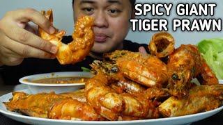 SPICY GIANT TIGER PRAWNS  MUKBANG PHILIPPINES [upl. by Oiramat]