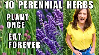 TOP 10 BEST Perennial Herbs To Grow in November Plant Once Harvest Forever [upl. by Ahsinav]