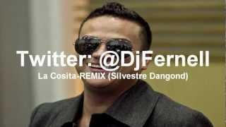 La Cosita RemixSilvestre Dangond RemixDj Fernell [upl. by Ros]