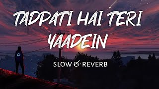 tadpati hai teri batein  slow amp reverb  lofi beats [upl. by Agle200]