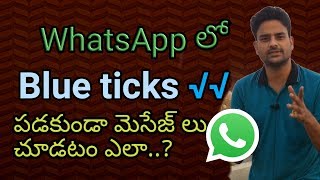 How to hide Blue ticks in Whatsapp  మీ వాట్సాప్ లో బ్లూ టిక్స్ హైడ్ చేసుకోండి  in telugu [upl. by Chloe947]