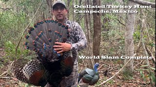 Epic Ocellated Turkey Hunt World Slam Complete [upl. by Aerdied]