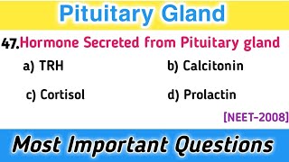 Endocrinology MCQs  Pituitary Gland  Most Important Questions for NEET 2023 [upl. by Fredkin980]