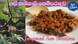 ගස් තක්කාලි තෙම්පරාදුව  Tempered Tree Tomatoes [upl. by Alraep]