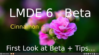 LMDE 6  Beta  First Look amp Tips of the New Cinnamon Desktop [upl. by Eliott]