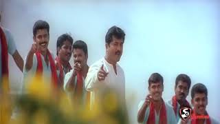 Best  Love  Song  Arasu  Movie  Malligai Malligai  Status Video [upl. by Maryann121]