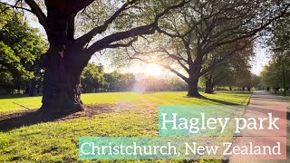 Evening walk  Hagley park Christchurch  New Zealand 🇳🇵🇳🇿 couplegoals memories eveningwalk [upl. by Shute]