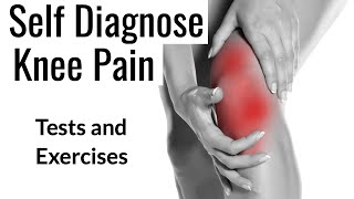 Knee Pain diagnosis and Exercises [upl. by Atineg606]