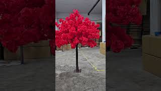 Red cherry tree [upl. by Adoc]