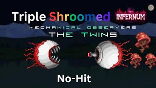 Triple Shroomed Infernum Twins NoHit [upl. by Eyllom]