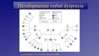 Wolfgang Einard  Exploring the Molecular Basis of Speech [upl. by Naenaj]