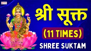 श्री सूक्तम् ११ आवर्तन  Shri Suktam 11 Times with Lyrics  ॐ हिरण्यवर्णाम हरिणीं सुवर्ण [upl. by Ode955]