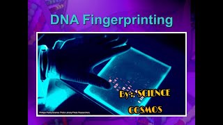 DNA Fingerprinting ll Short animated video ll In Hindi ll [upl. by Hnad]