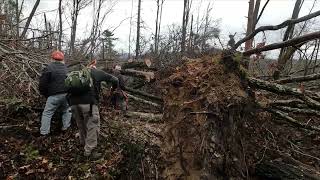 Helene Devastation and Repair on AT Roan Mountain TN 111524 [upl. by Gold]