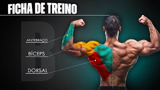 Montando um TREINO B de COSTAS BÍCEPS E ANTEBRAÇO com TODOS EXERCÍCIOS e Nº DE SÉRIES [upl. by Lina]