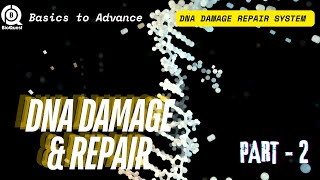 DNA Damage Repair System  Different Types of DNA Damage Repair  DNA Damage amp Repair Part 2 [upl. by Mae]