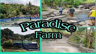 Yaway Paradise Farm At AritaoNueva Vizcaya Precy Anns Vlog [upl. by Wellesley579]