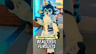 9 beautiful fursuits from furnal equinox 2023 furnalequinox furry fursuits fursuiters [upl. by Sky]