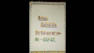 Bsc 2nd year zoology practical file zoology video shortvideo [upl. by Kcirdneked]