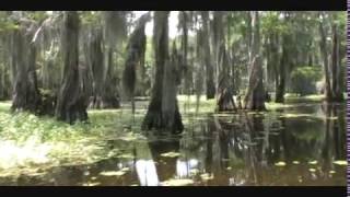 The Mysterious Caddo Lake [upl. by Nivar]