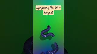 Symphony No 40 Marble Music [upl. by David834]