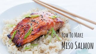 How to Make Miso Salmon Recipe 味噌サーモンの作り方（レシピ） [upl. by Randolph]