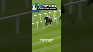 🔵BLUESTOCKING wins the G1 Pretty Polly Stakes🏆 [upl. by Cahan]