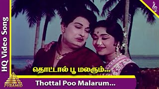 Thottal Poo Malarum Video Song  Padagotti Movie Songs  MGR  Saroja Devi  Pyramid Music [upl. by Aserret]