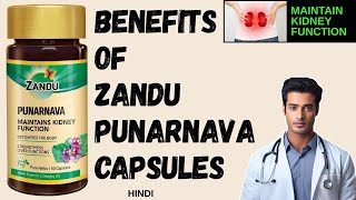 ZANDU PUNARNAVA CAPSULES  PUNARNAVA KE FAYDE  KIDNEY FUNCTION  LIVER DETOX  PUNARNAVA BENEFITS [upl. by Kong865]