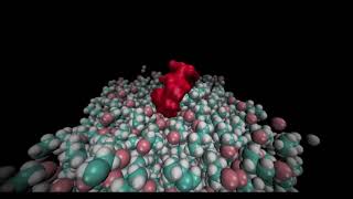 Molecular Dynamics of Cyclodextrin at WaterOil Interface [upl. by Yesmar912]