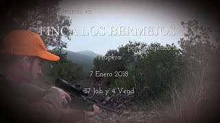 quotMONTERIA EN LOS BERMEJOS POR CINEGETICA LA TRAPERAquot 7 DE ENRO DEL 2018 [upl. by Bret]