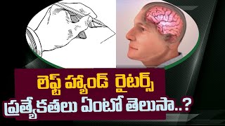 మీరు లెఫ్ట్ హ్యాండర్స్ అయితే ఈ వీడియో మీకోసమే ll facts about left handers ll facts in telugu ll R2R [upl. by Eidnim]