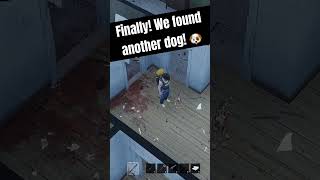 Found a new dog in HumanitZ Mine dog was killed days ago [upl. by Nylirahs]