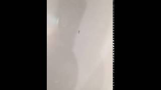 Small bugs in bathroom psocid mites [upl. by Noivert]