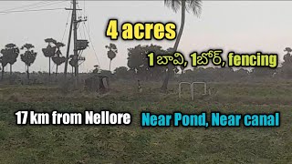 Land for sale 4 acresNellore districtVenkatachalam mandalam9676114449 [upl. by Fancie239]