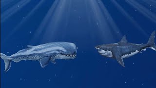 megalodon vs livyatan vs mosasaurus [upl. by Madelena]